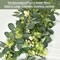 6Ft Eucalyptus Garland, Upgrade Bushy Artificial lvy Greenery Vines with Flower Gypsophila Willow Leaves for Home Wedding Party Table Runner Centerpiece Decor